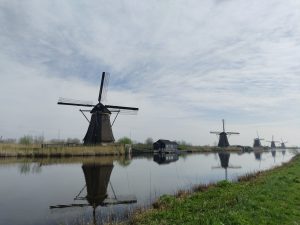 img 20240325 110547 1